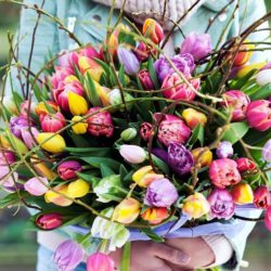 Vorgeschmack auf den Frühling