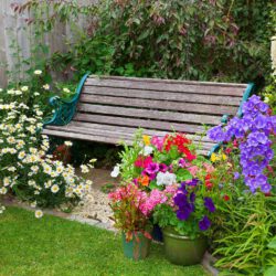 Der Sommer ist da! Schöne Pflanzen für Balkon, Terrasse und Garten