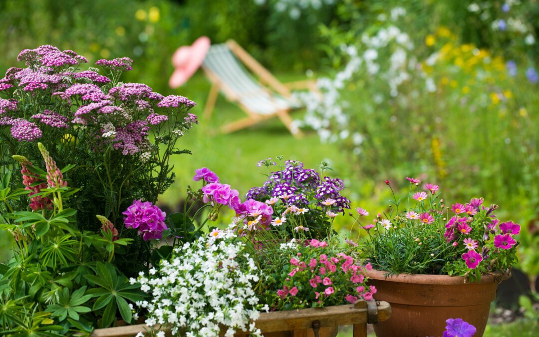 Der Sommer ist da! Schöne Pflanzen für Balkon, Terrasse und Garten