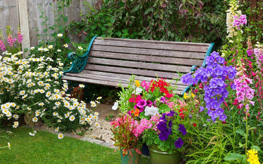 Der Sommer ist da! Schöne Pflanzen für Balkon, Terrasse und Garten