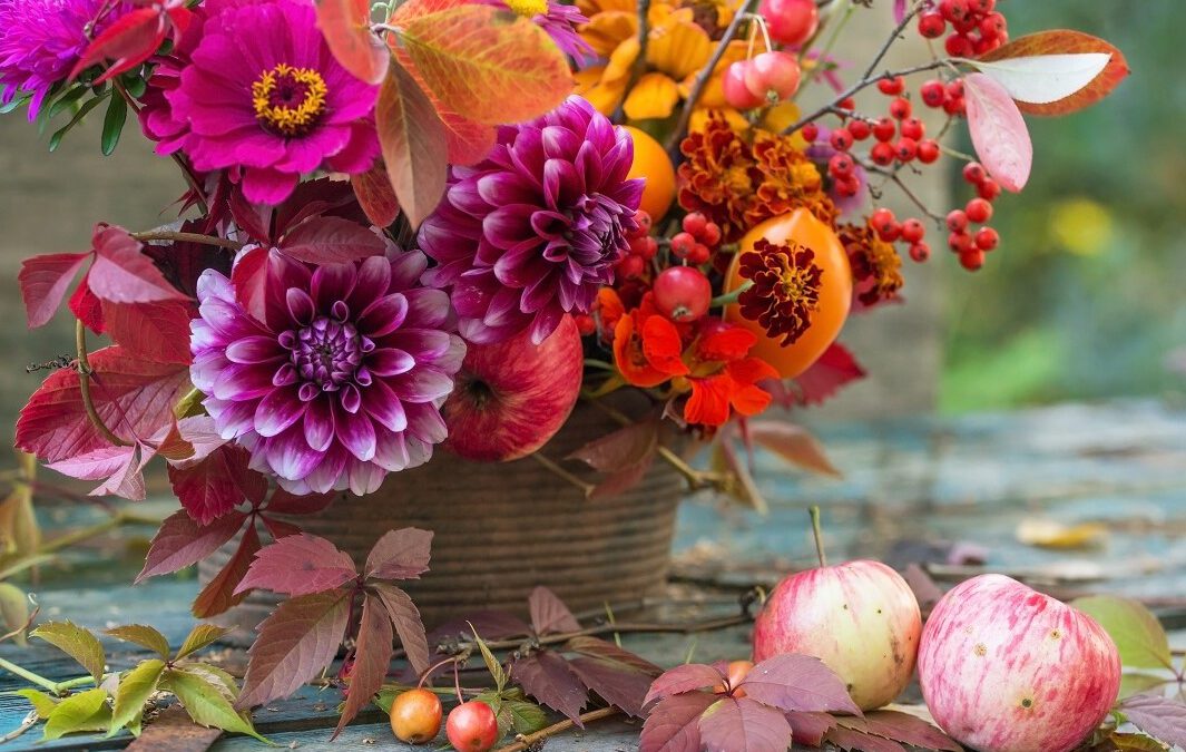 Farbspektakel im Herbst: Blüten und Blätter werden bunt!